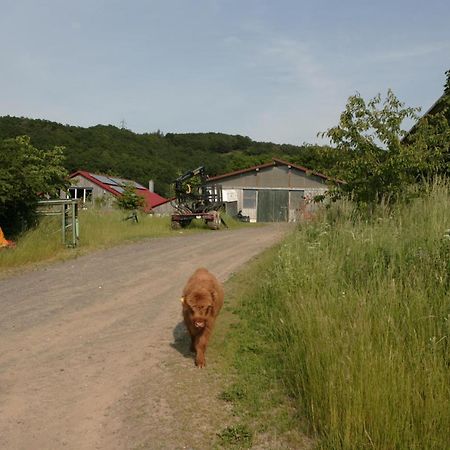Rech Hof Urlaub Auf Dem Bauernhof Apartment Schalkenbach Exterior foto