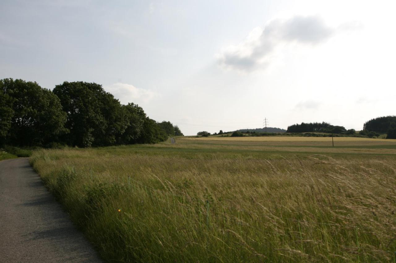 Rech Hof Urlaub Auf Dem Bauernhof Apartment Schalkenbach Exterior foto