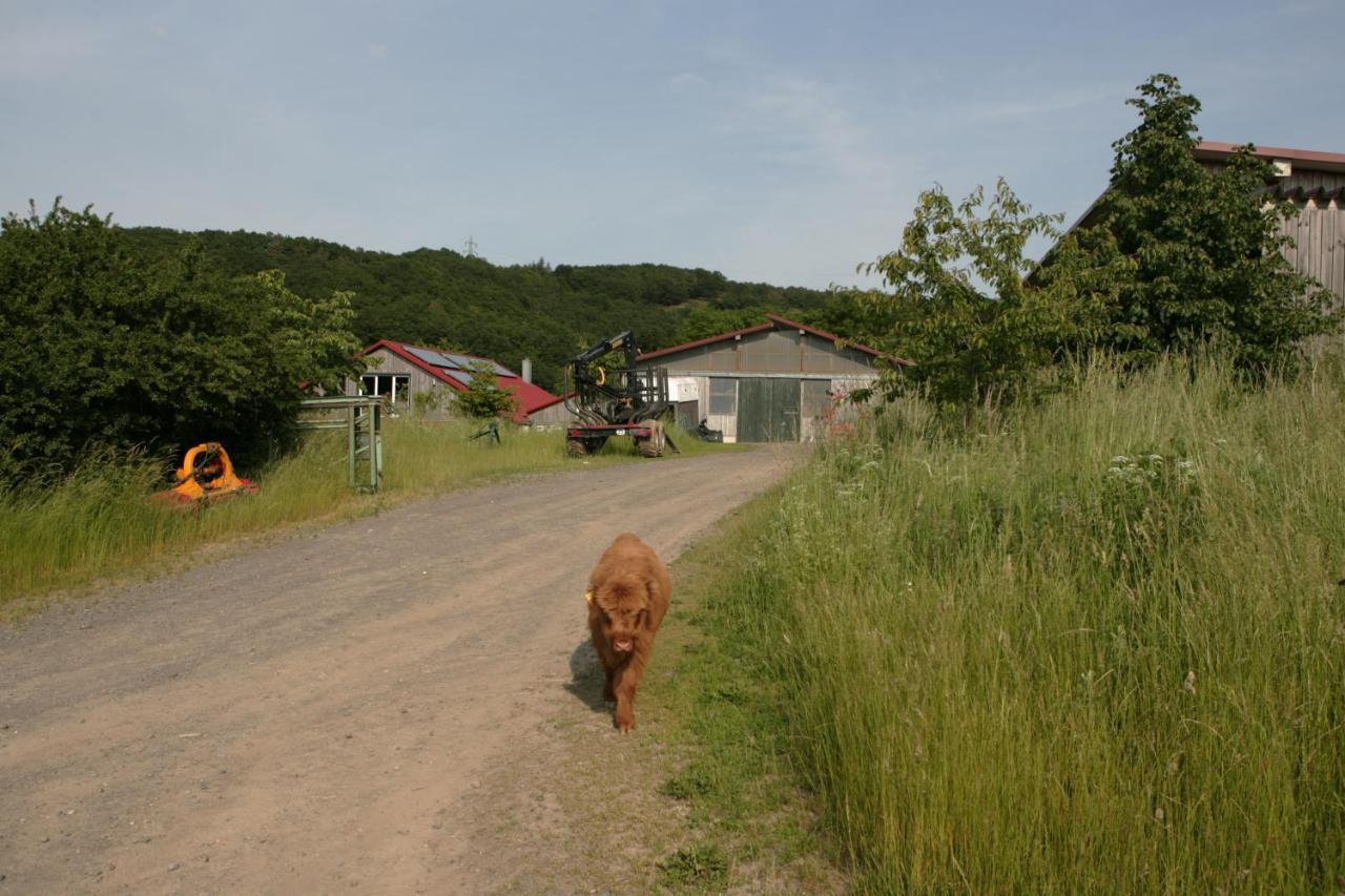 Rech Hof Urlaub Auf Dem Bauernhof Apartment Schalkenbach Exterior foto